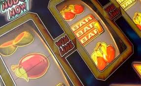 Lucky Duck Casino